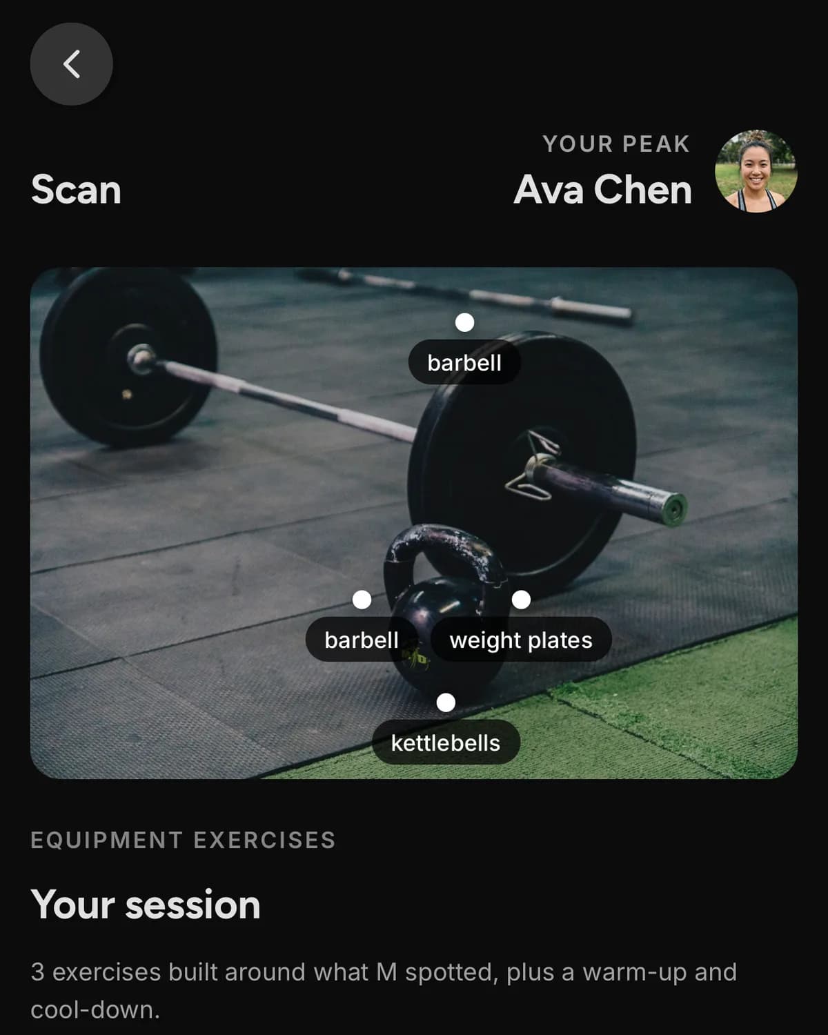 MVPeak Equipment Scan Iphone